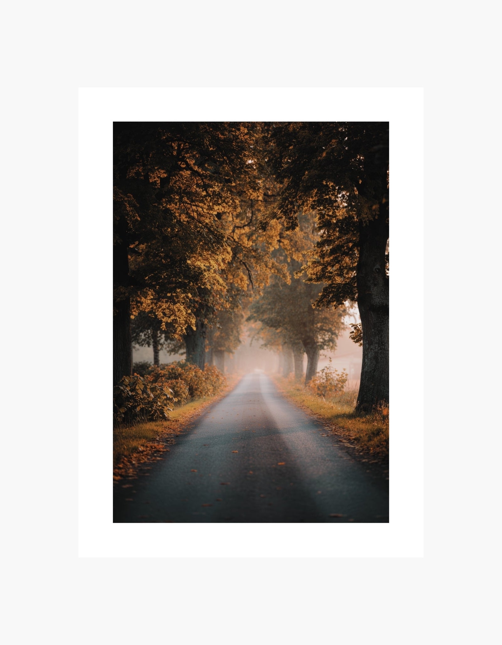 Autumn Pathway Poster