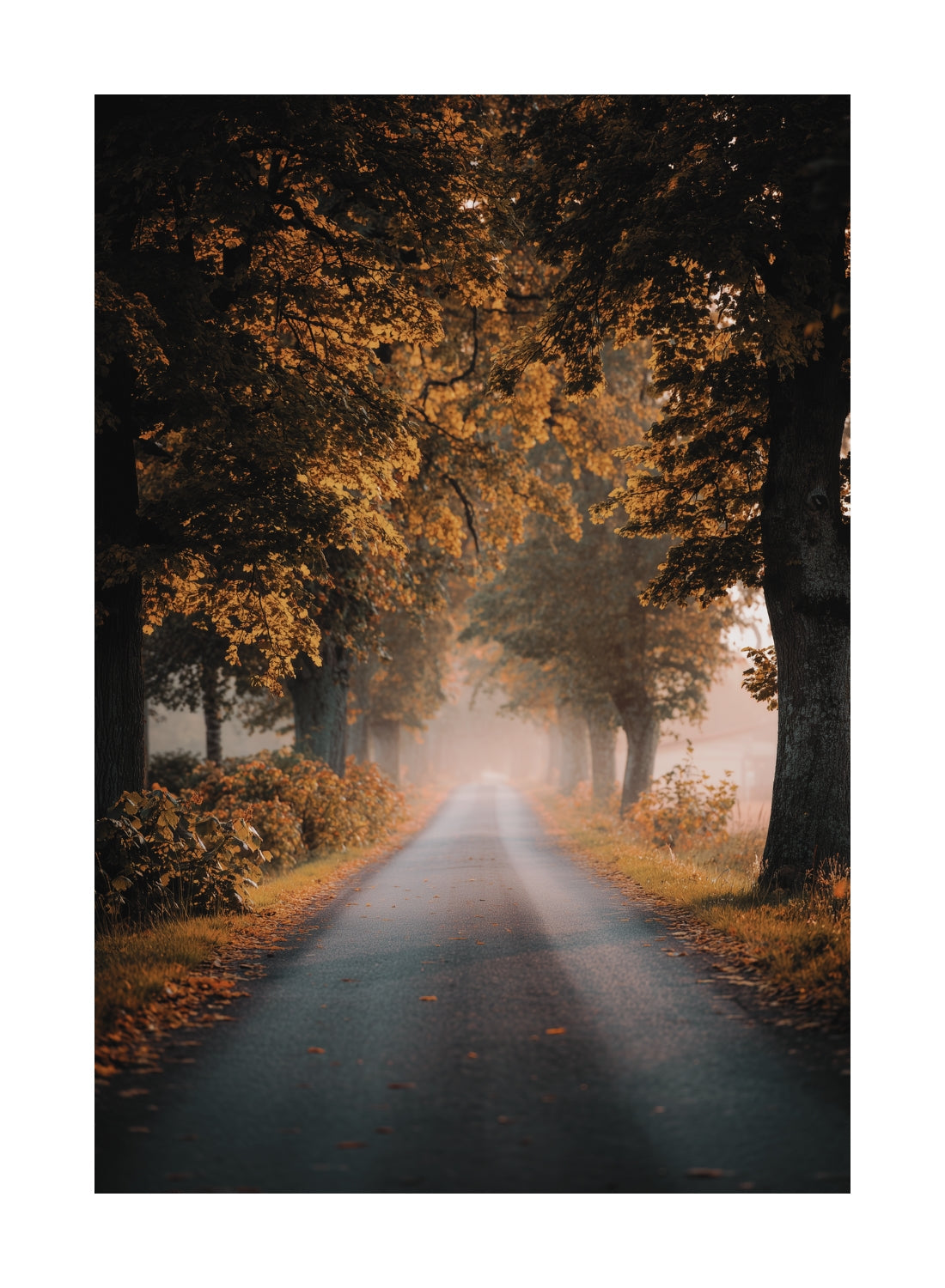 Autumn Pathway Poster