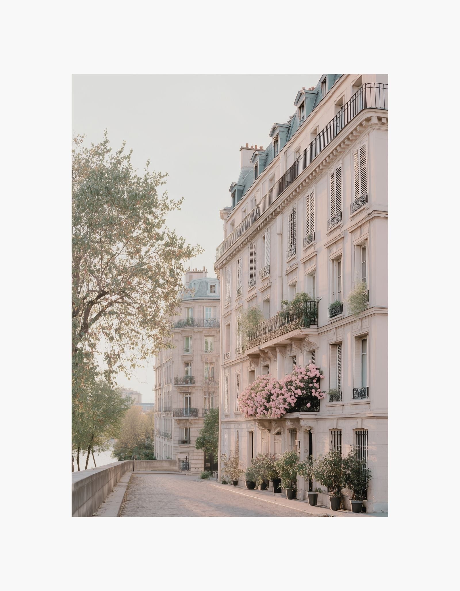 Paris Balcony Flowers Poster