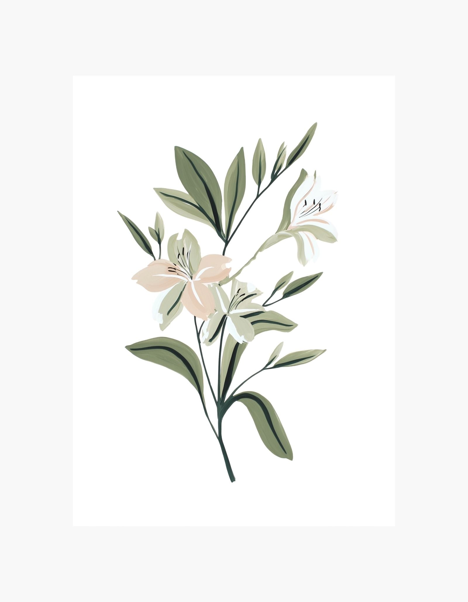 Soft Lily Botanical Poster