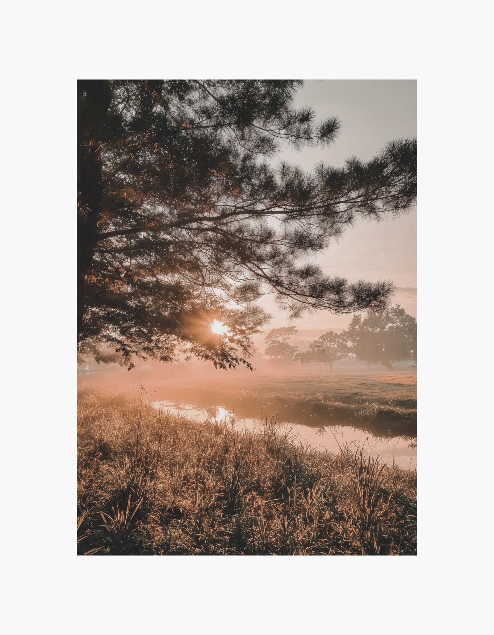 Golden Morning Poster