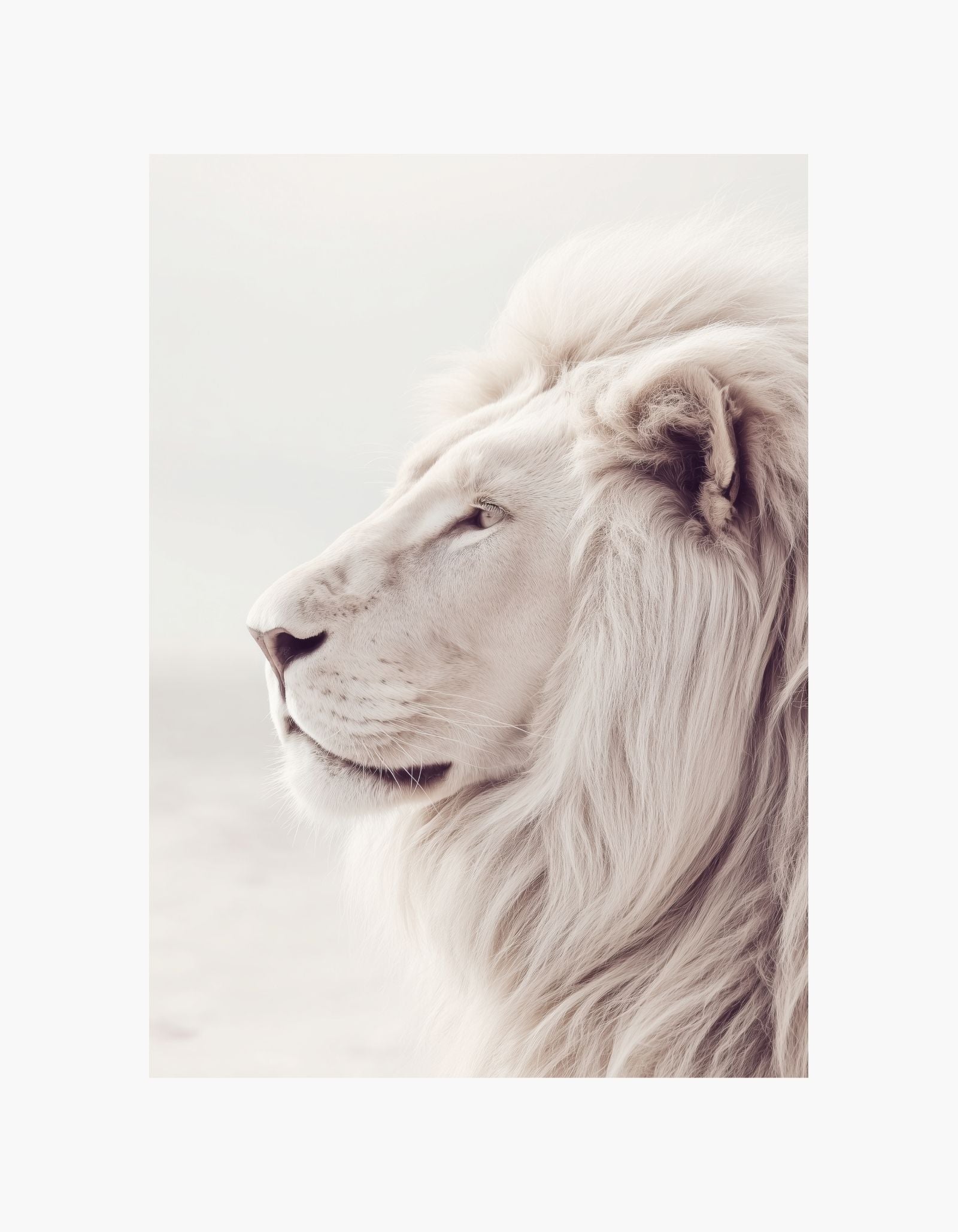 White Lion Poster