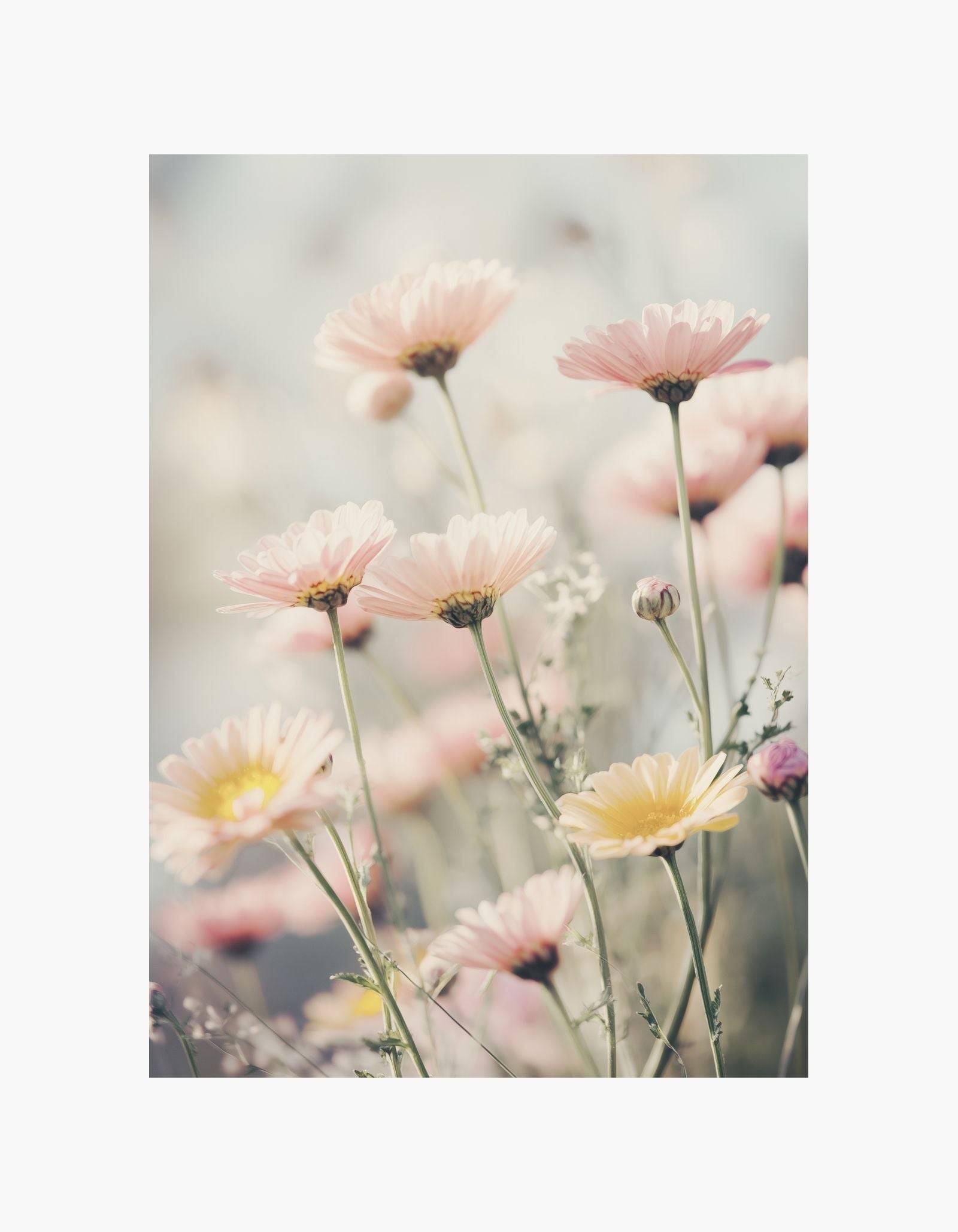 Pastel Meadow Poster