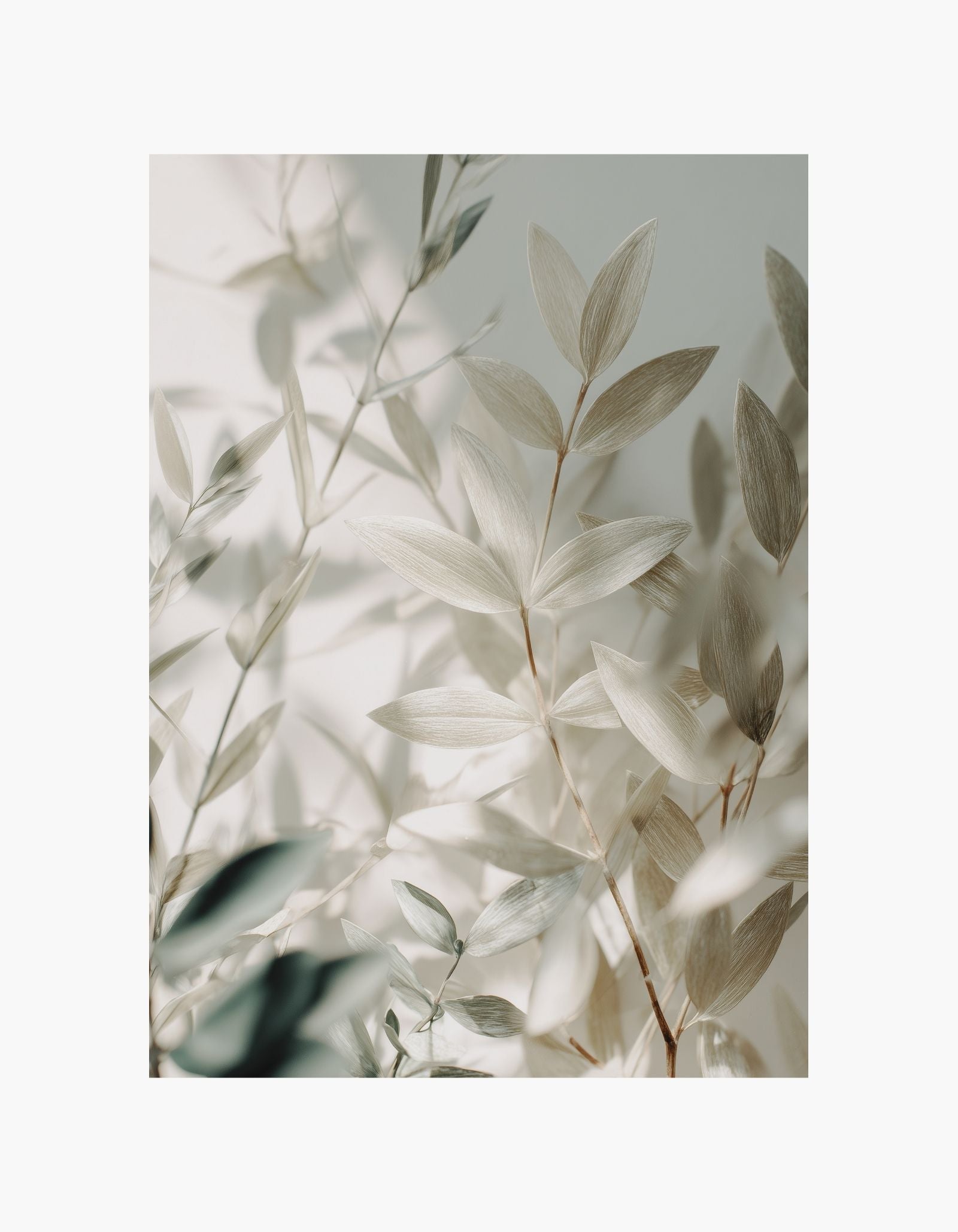 Soft Leaves Poster