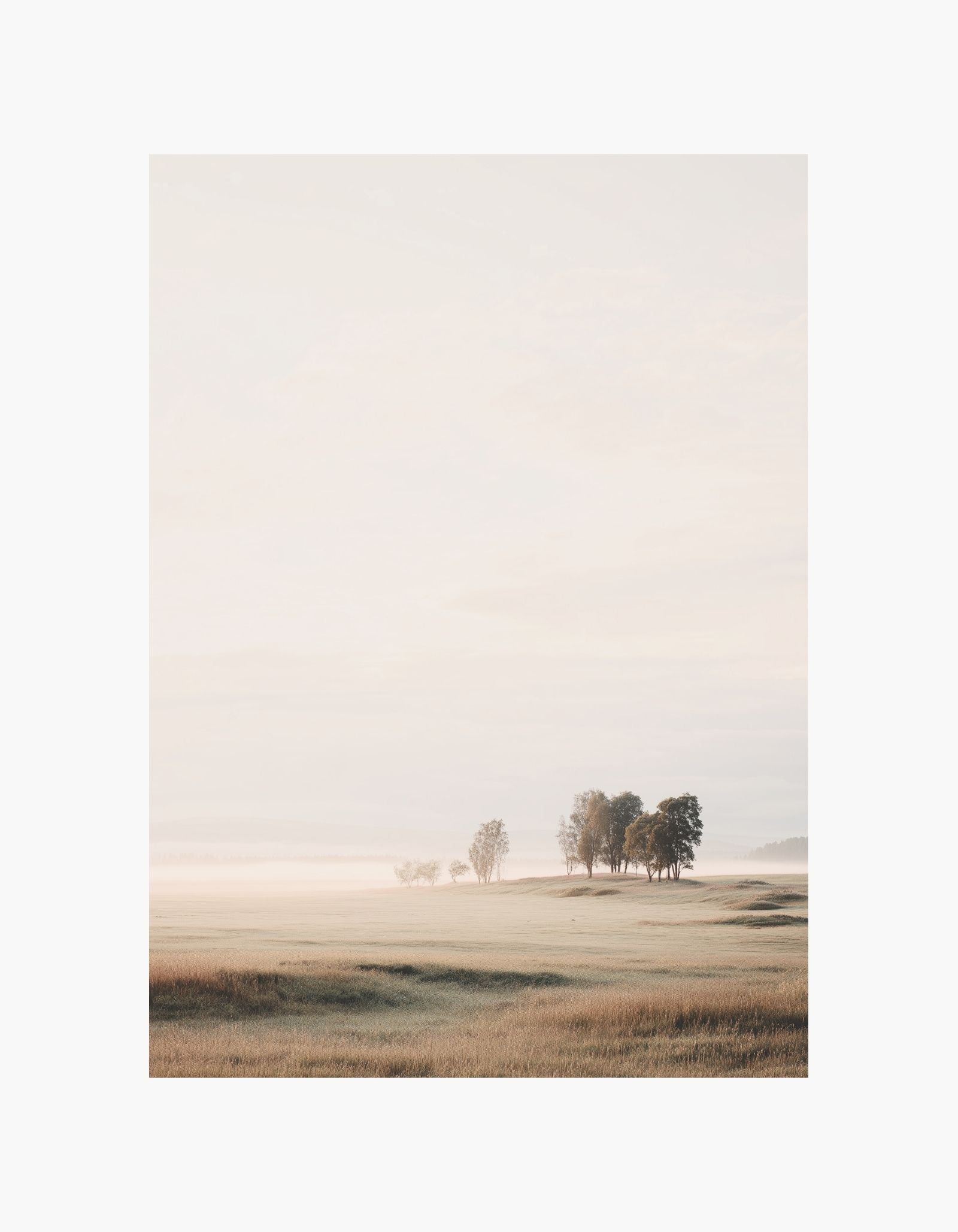 Morning Mist Meadow