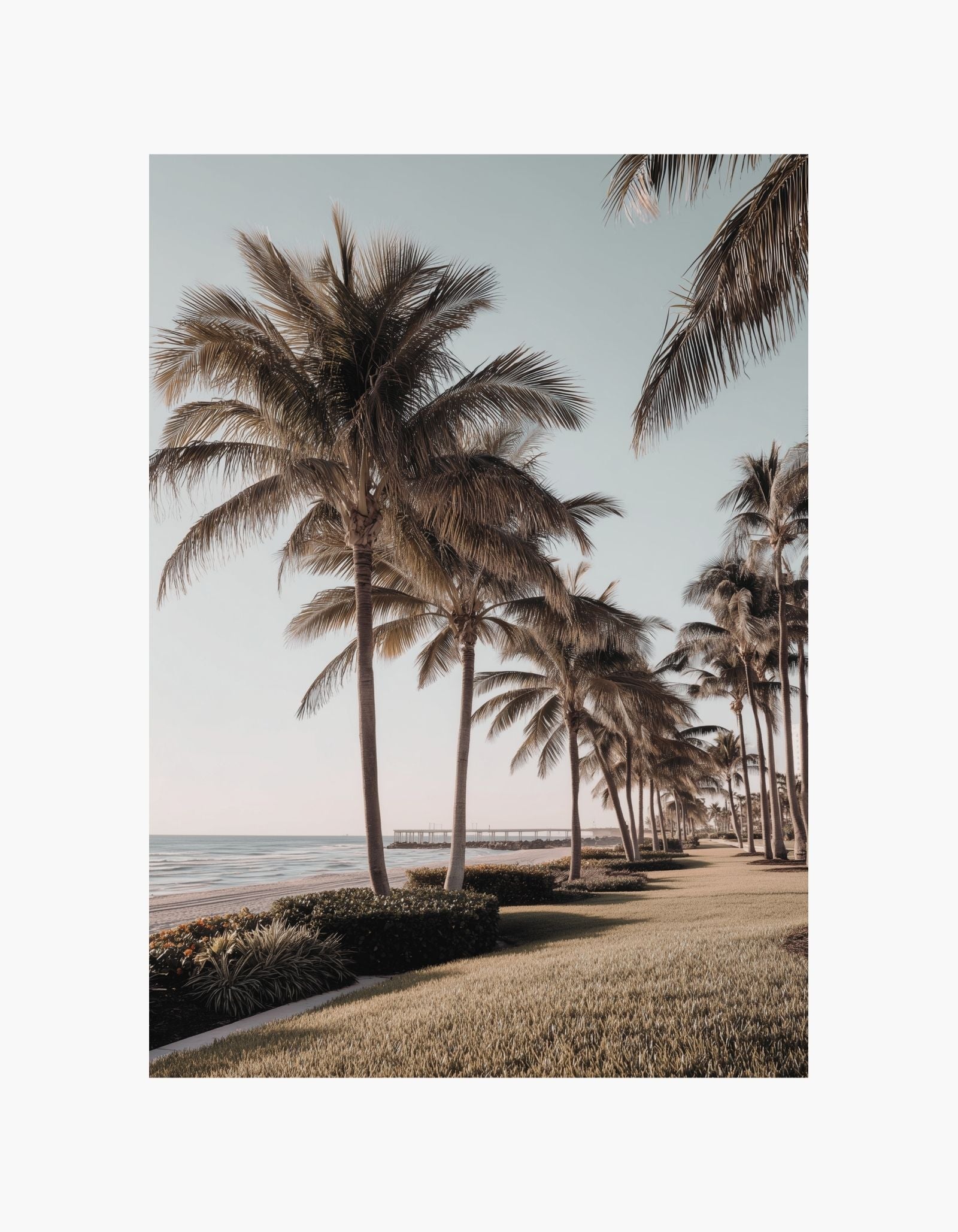 Palm Beach Sunset Poster