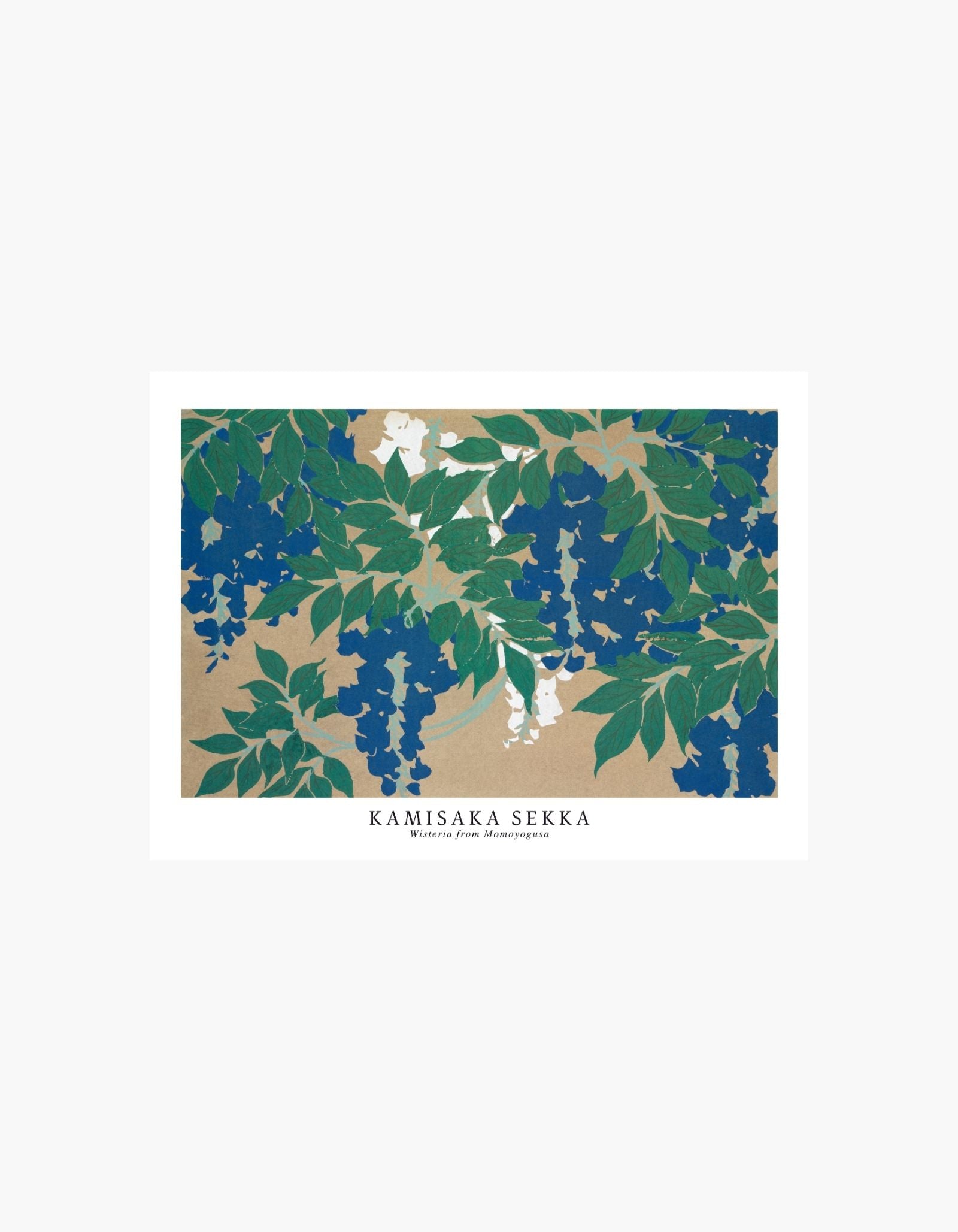 Kamisaka Sekka Wisteria from Momoyogusa Poster