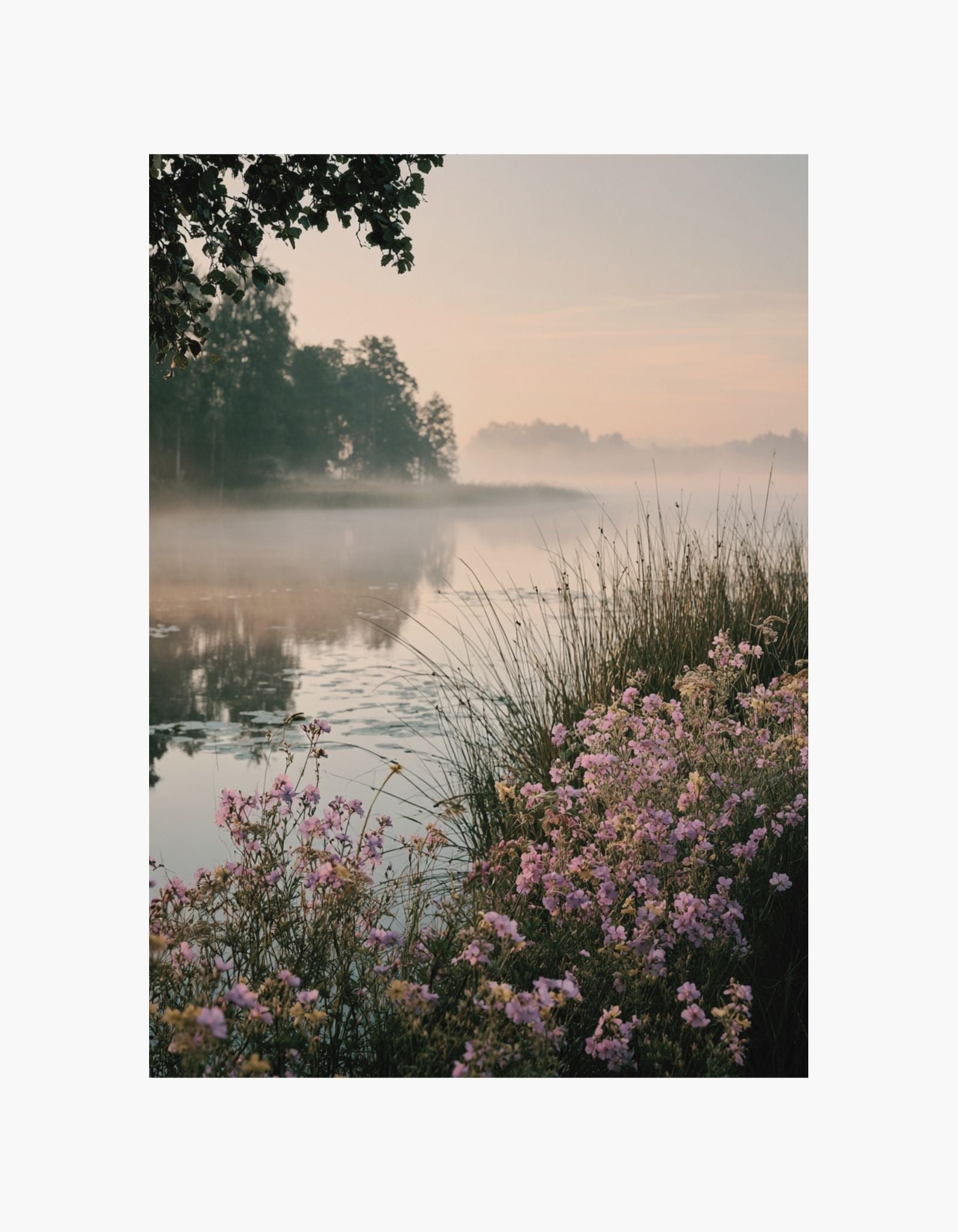 Morning Bloom Lake Poster