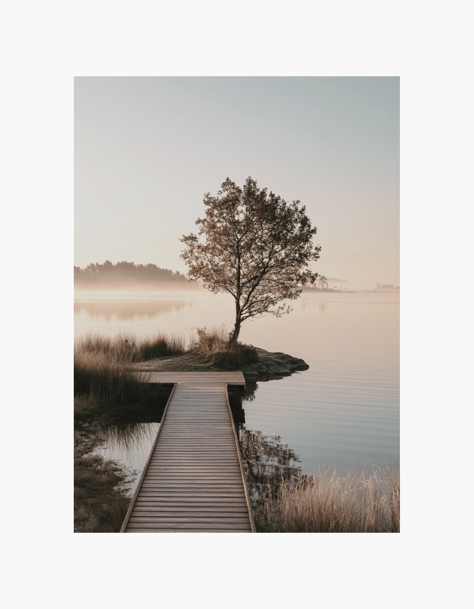 Silent Lake Poster