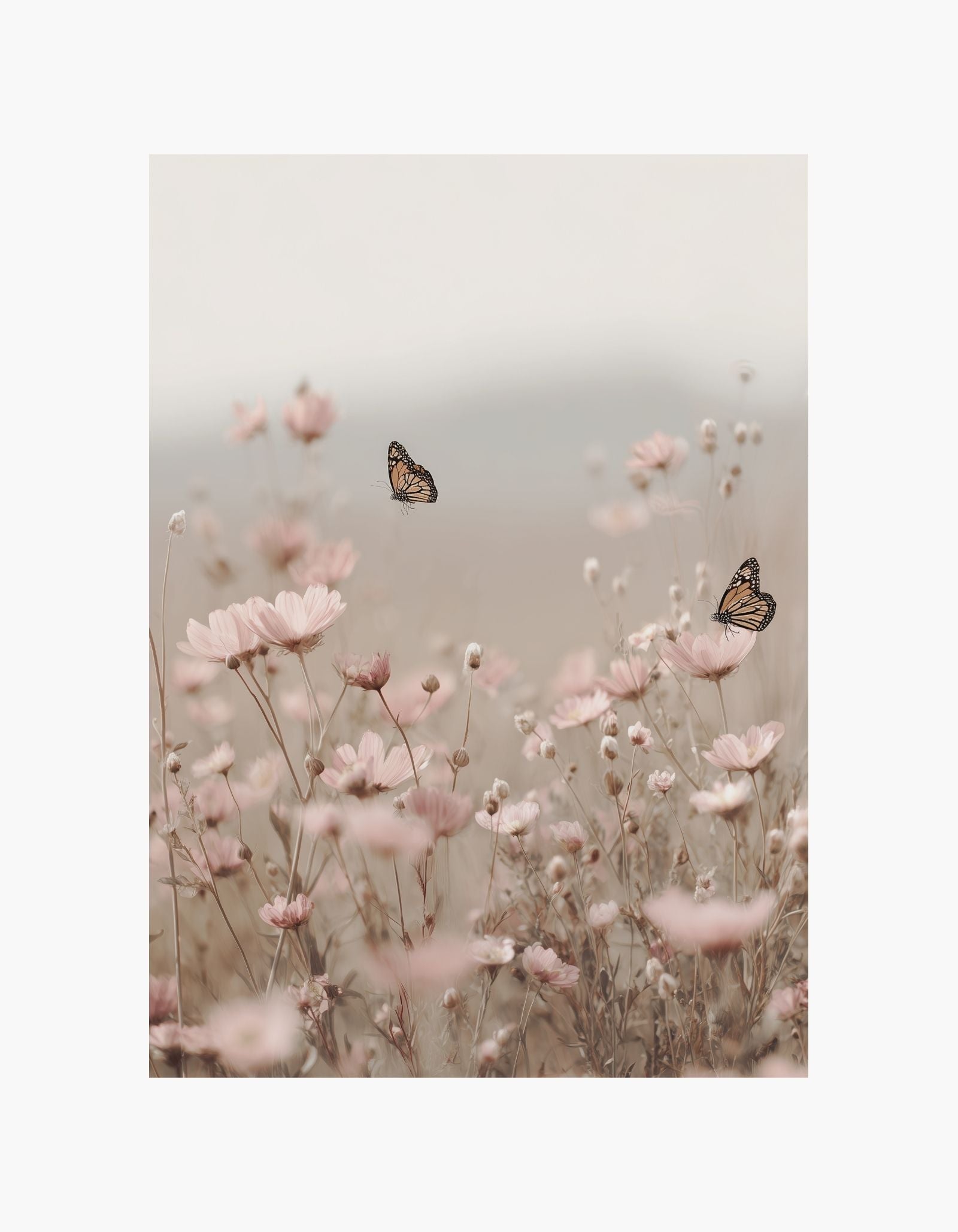 Butterflies in Bloom Poster