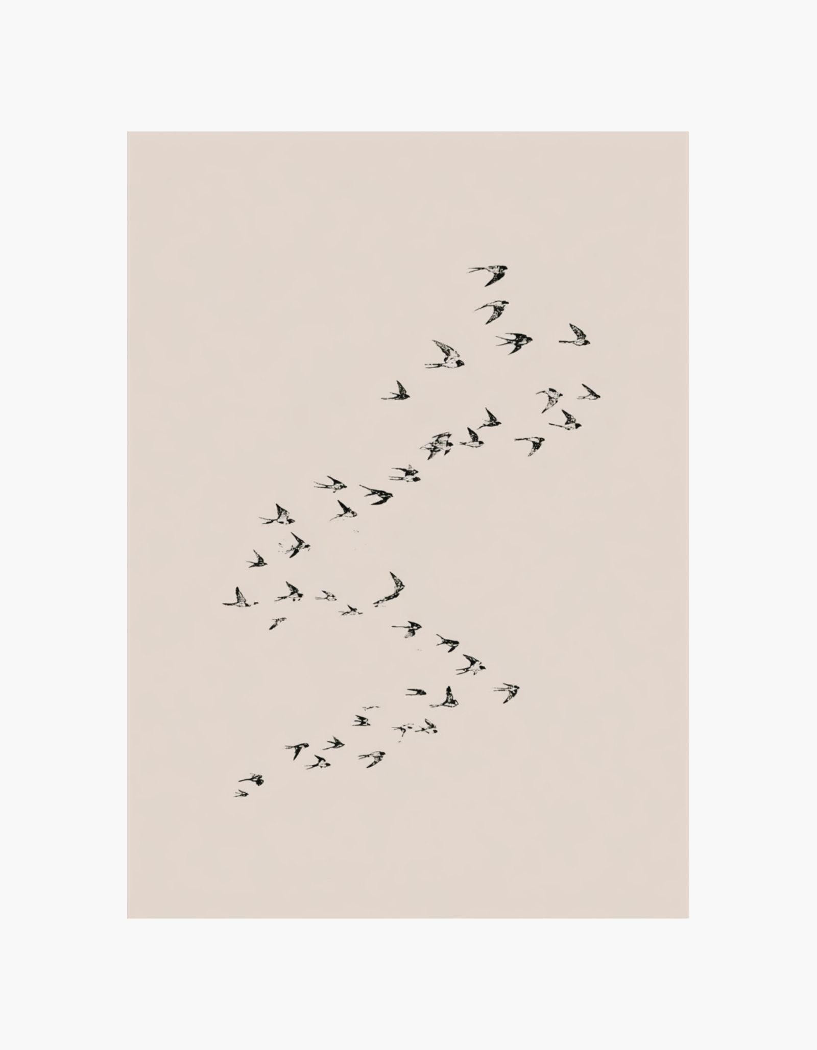 Birds in Motion Poster