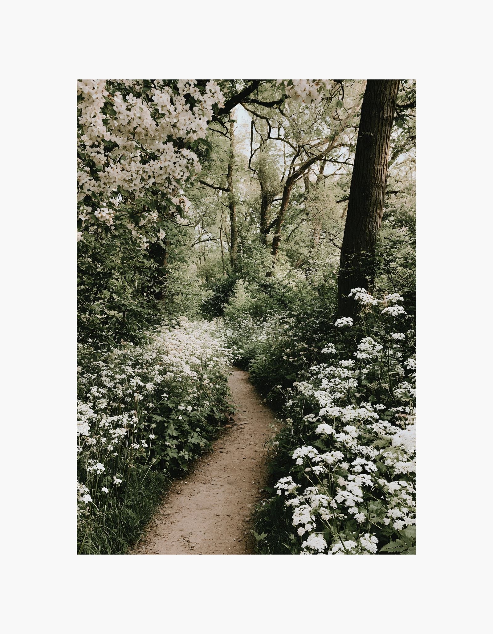 Garden Path Poster