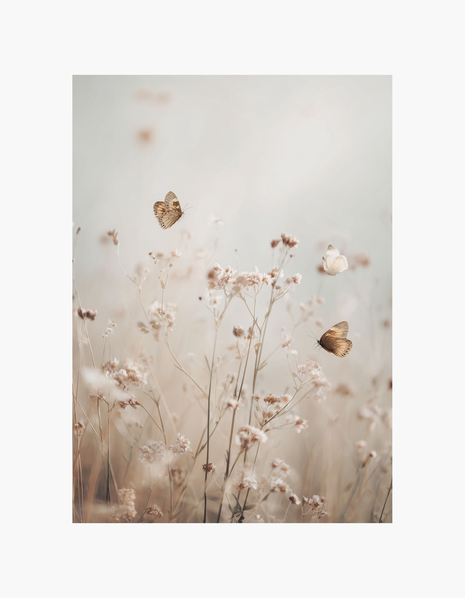 Butterfly Field Poster