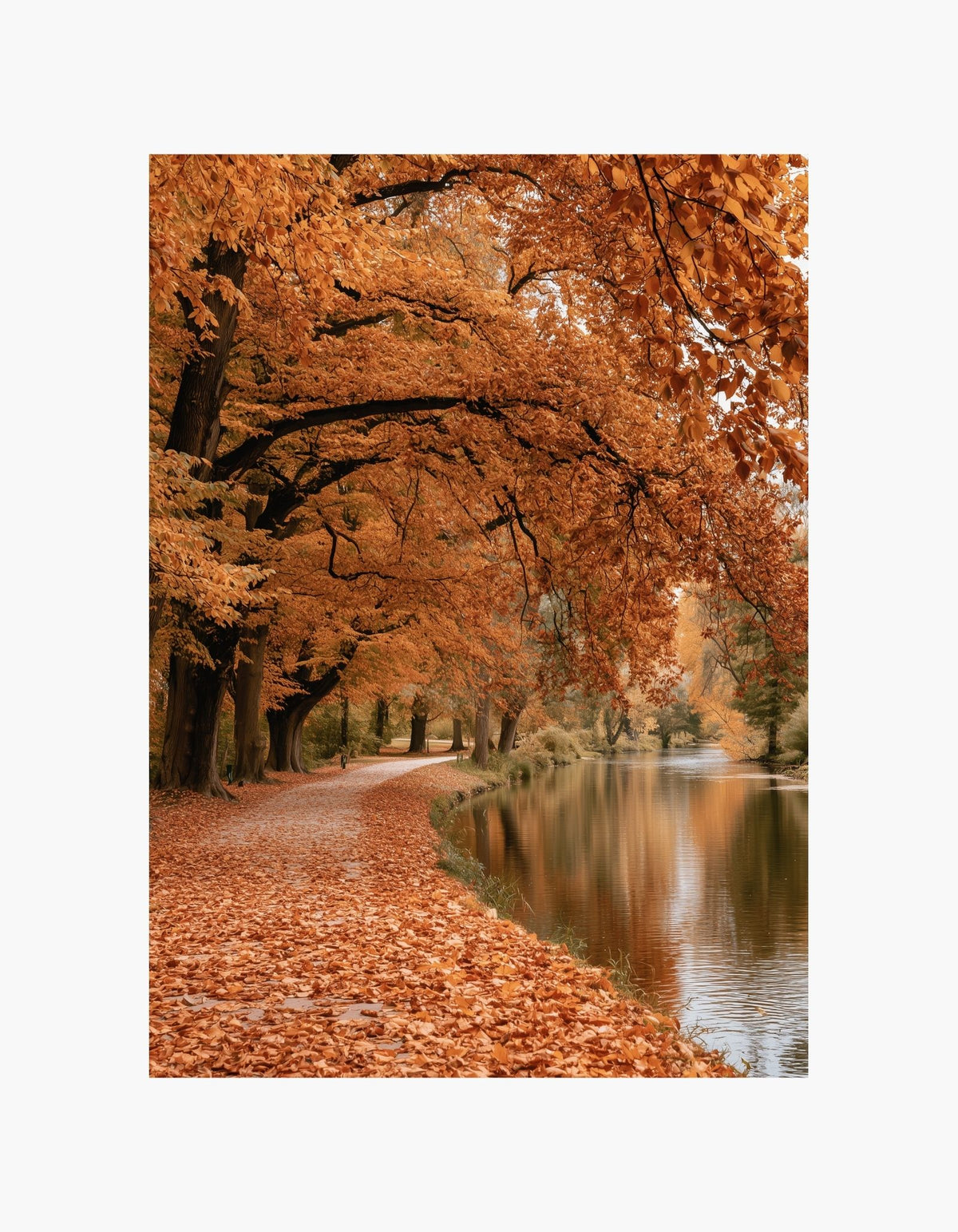 Autumn Riverside Poster