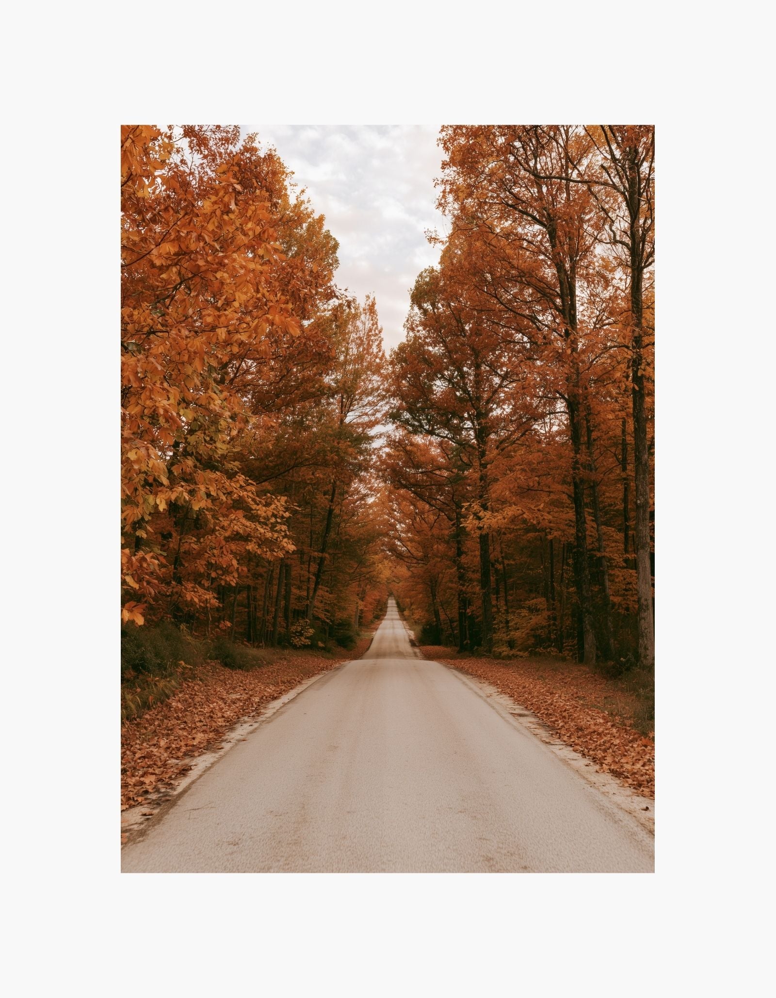 Autumn Road Poster