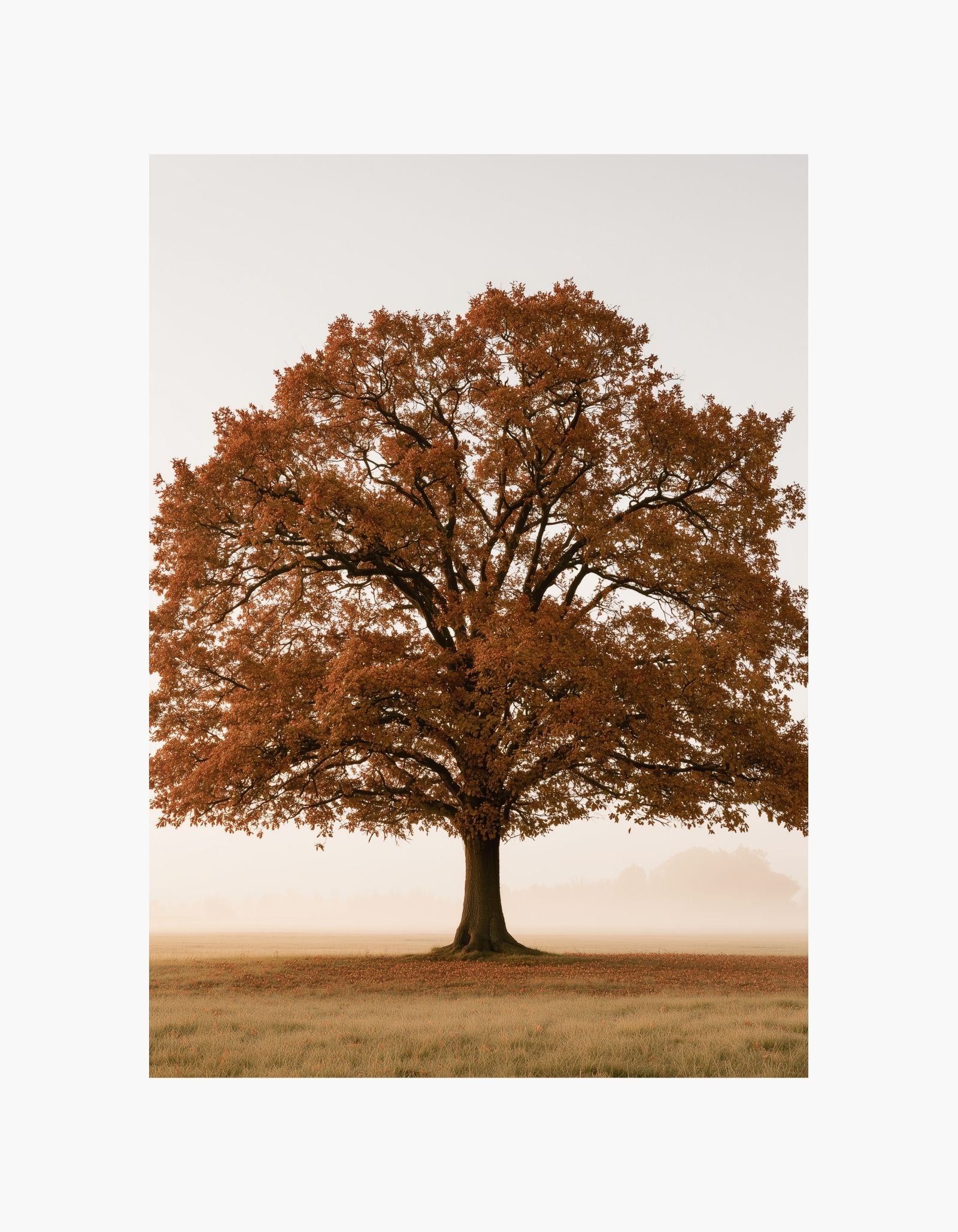 Autumn Tree Poster