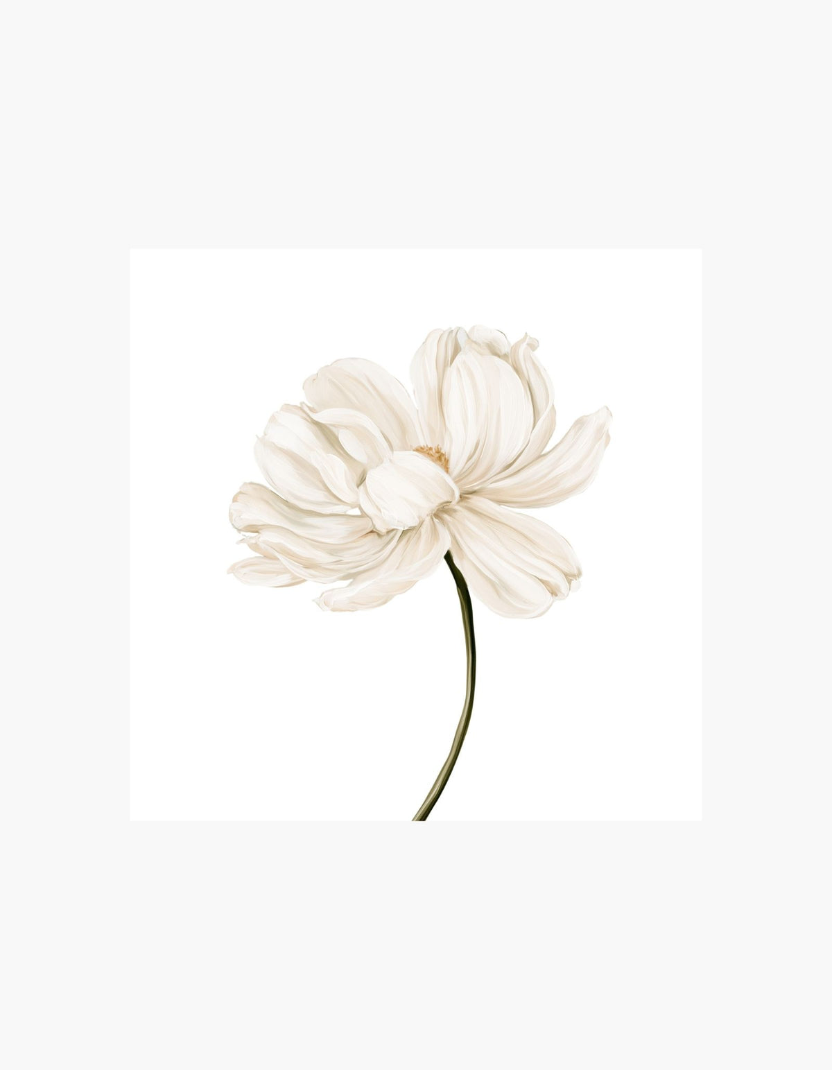 Ivory Bloom Square Poster
