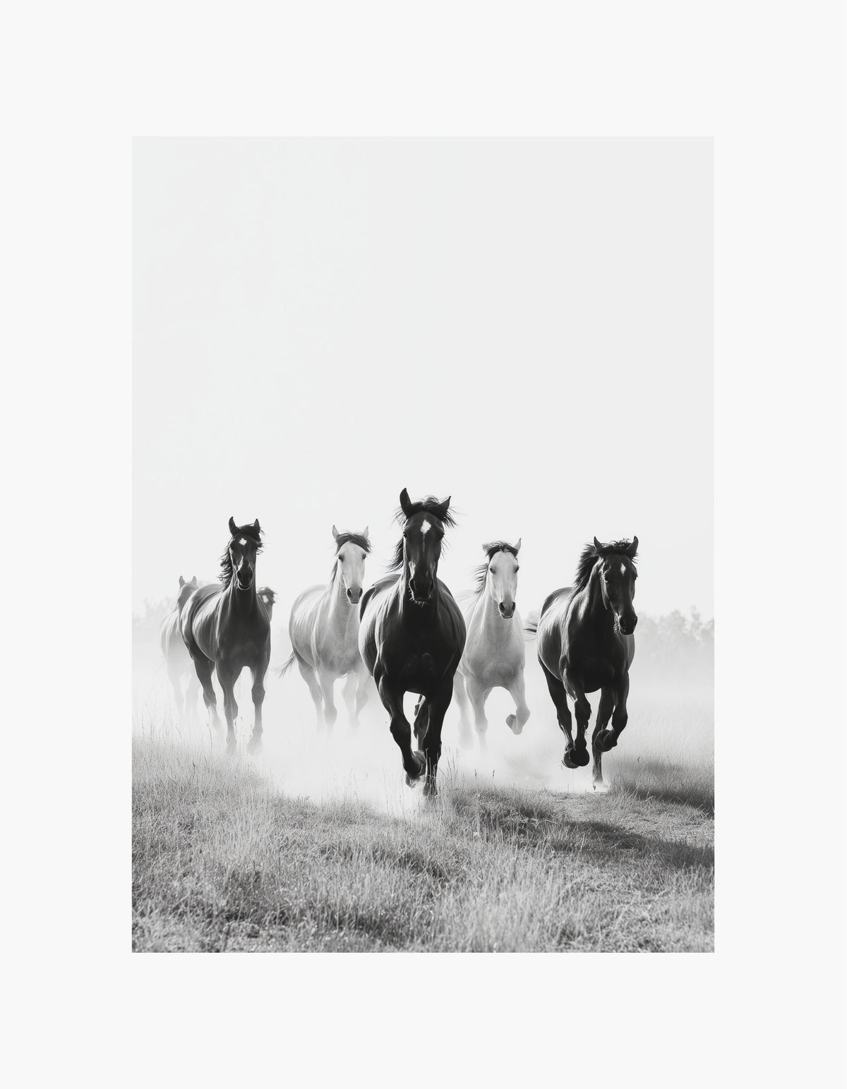 Running Horses Poster