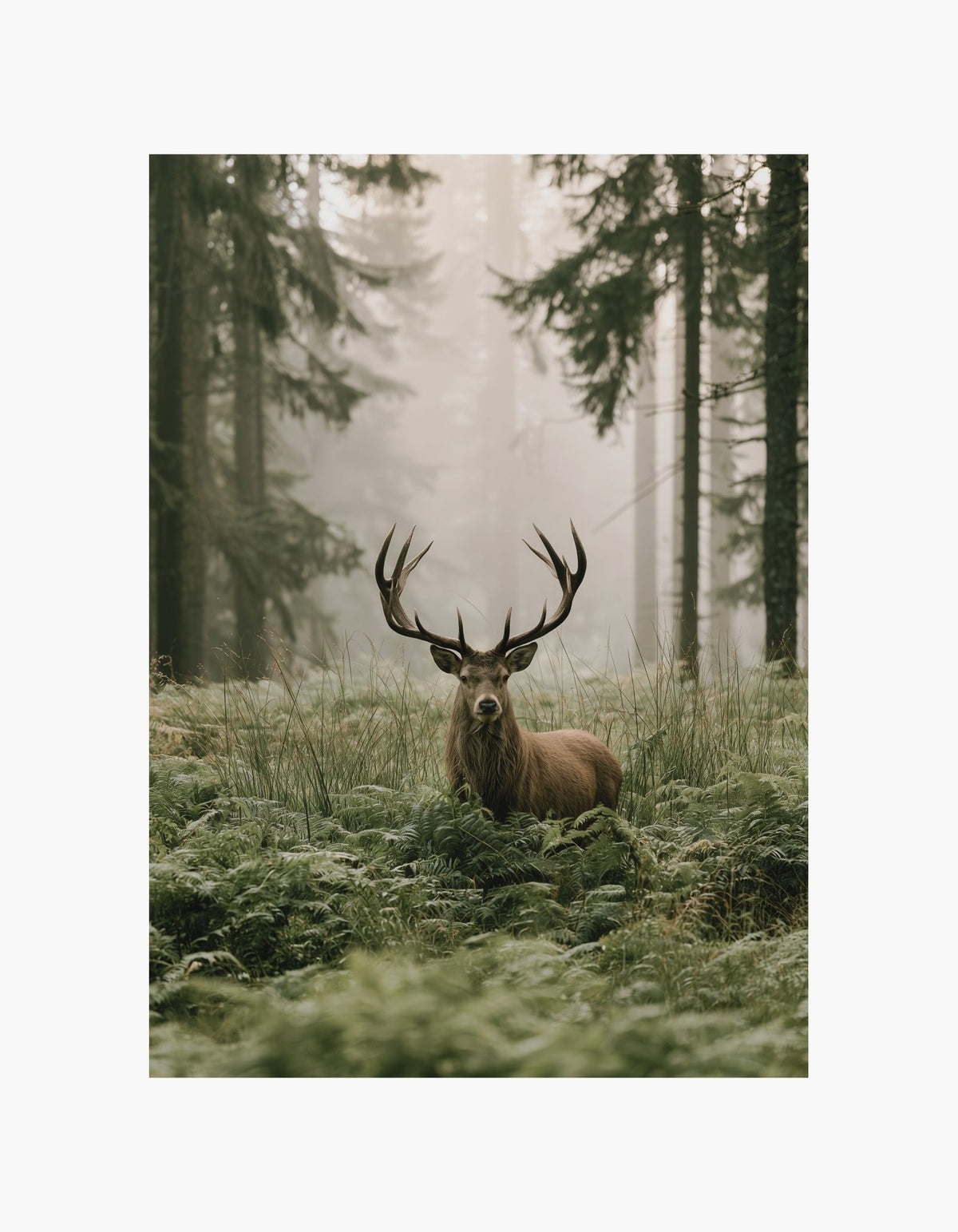 Forest Stag Poster