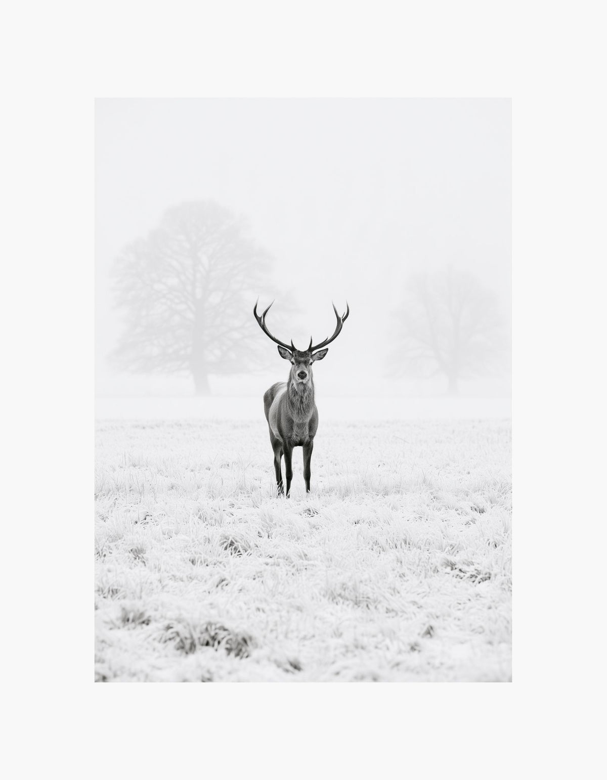 Winter Stag Poster