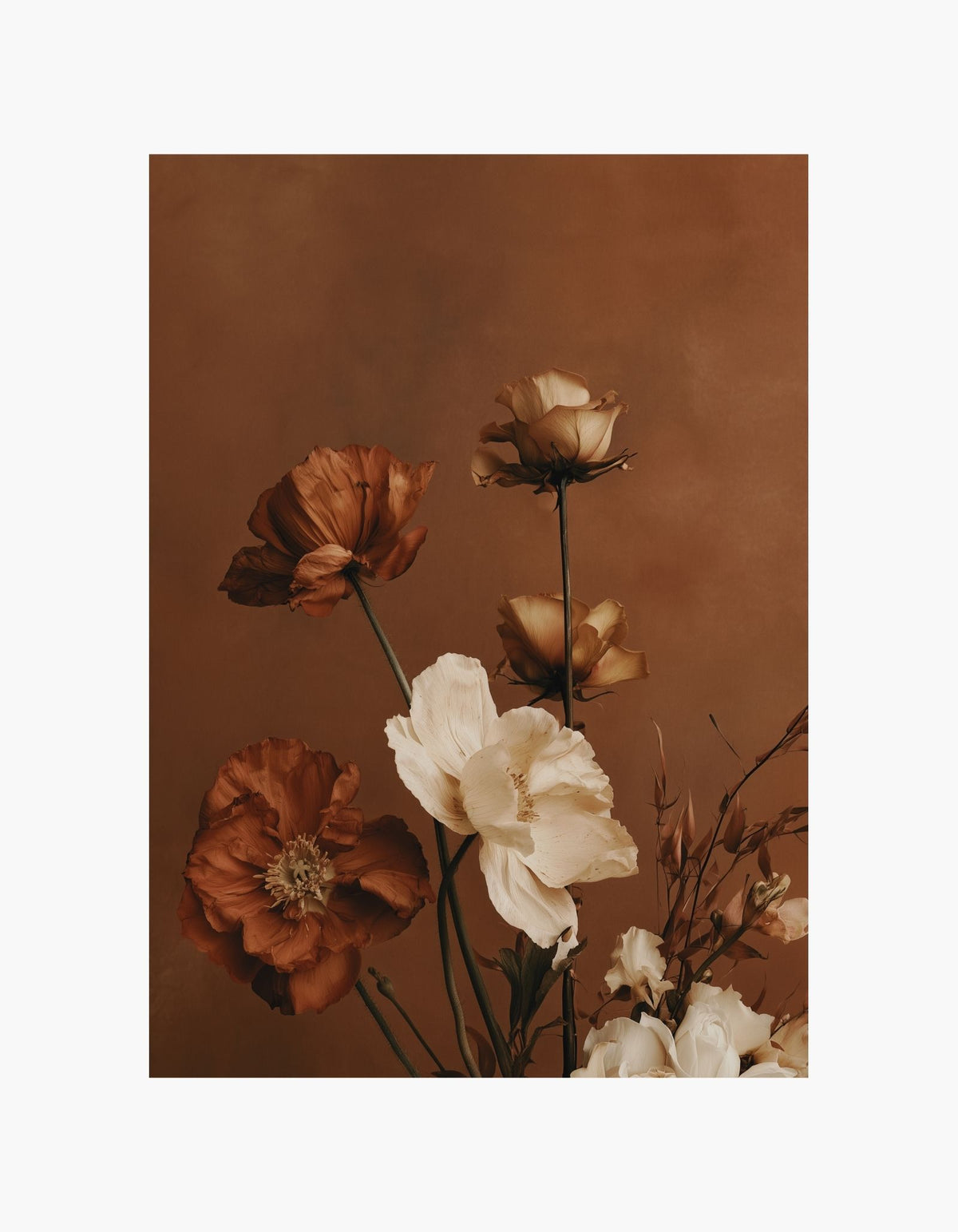 Autumn Flowers Poster