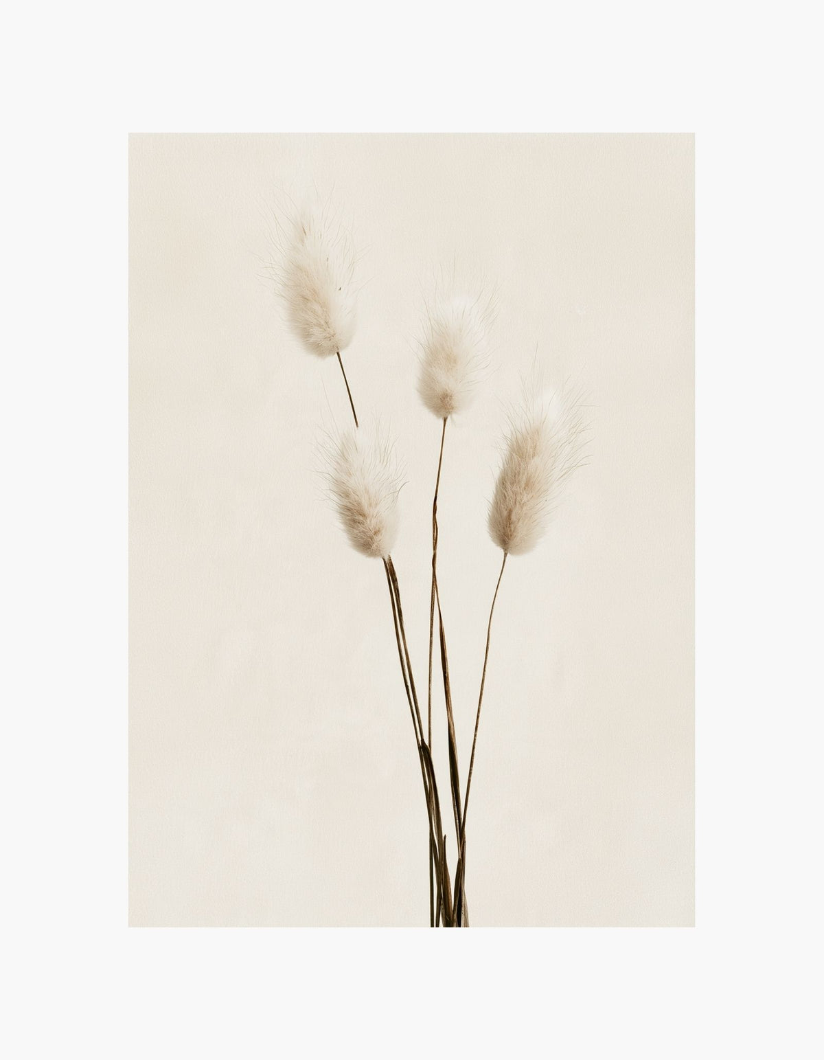 Soft Grass Poster