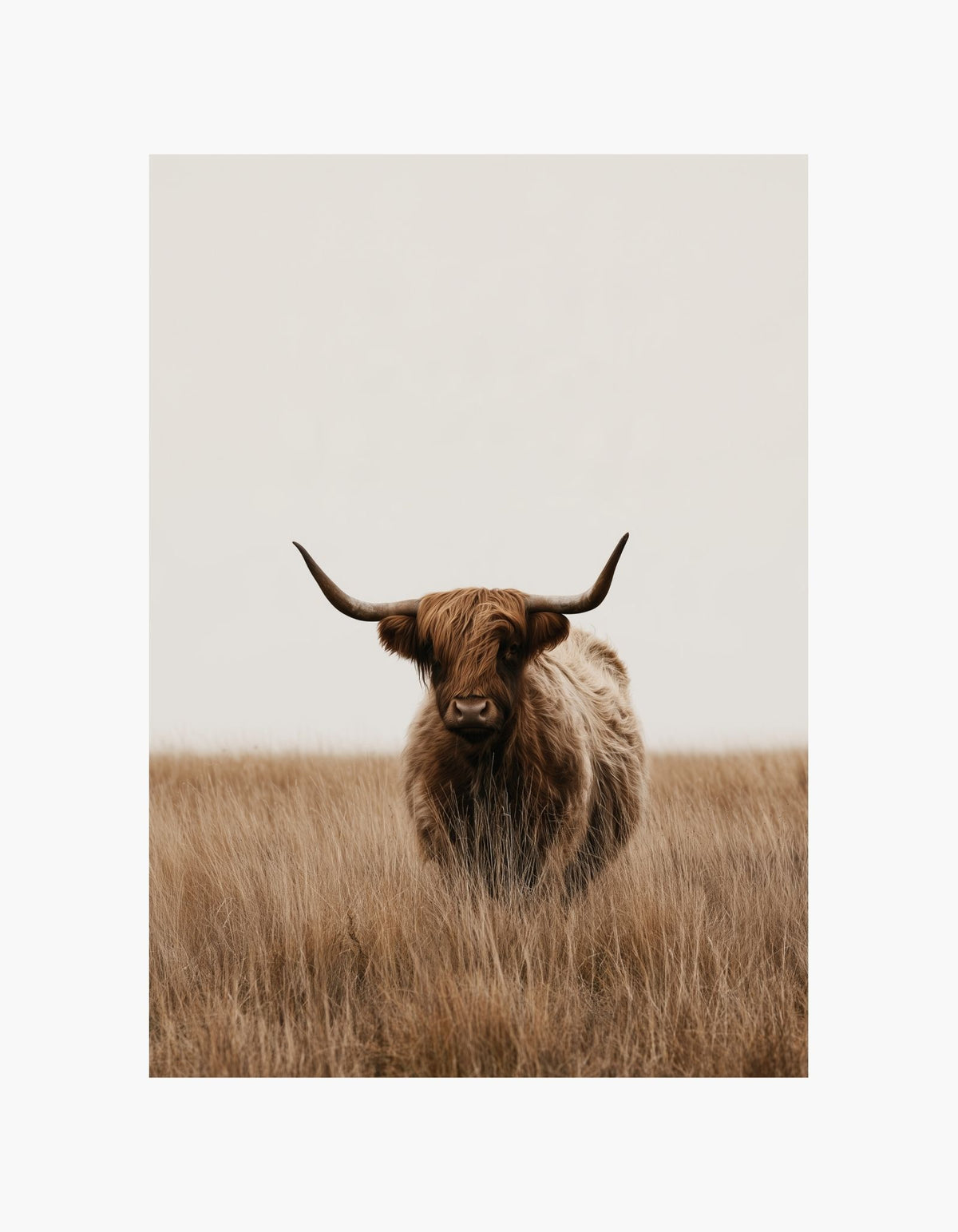 Highland Meadow Poster