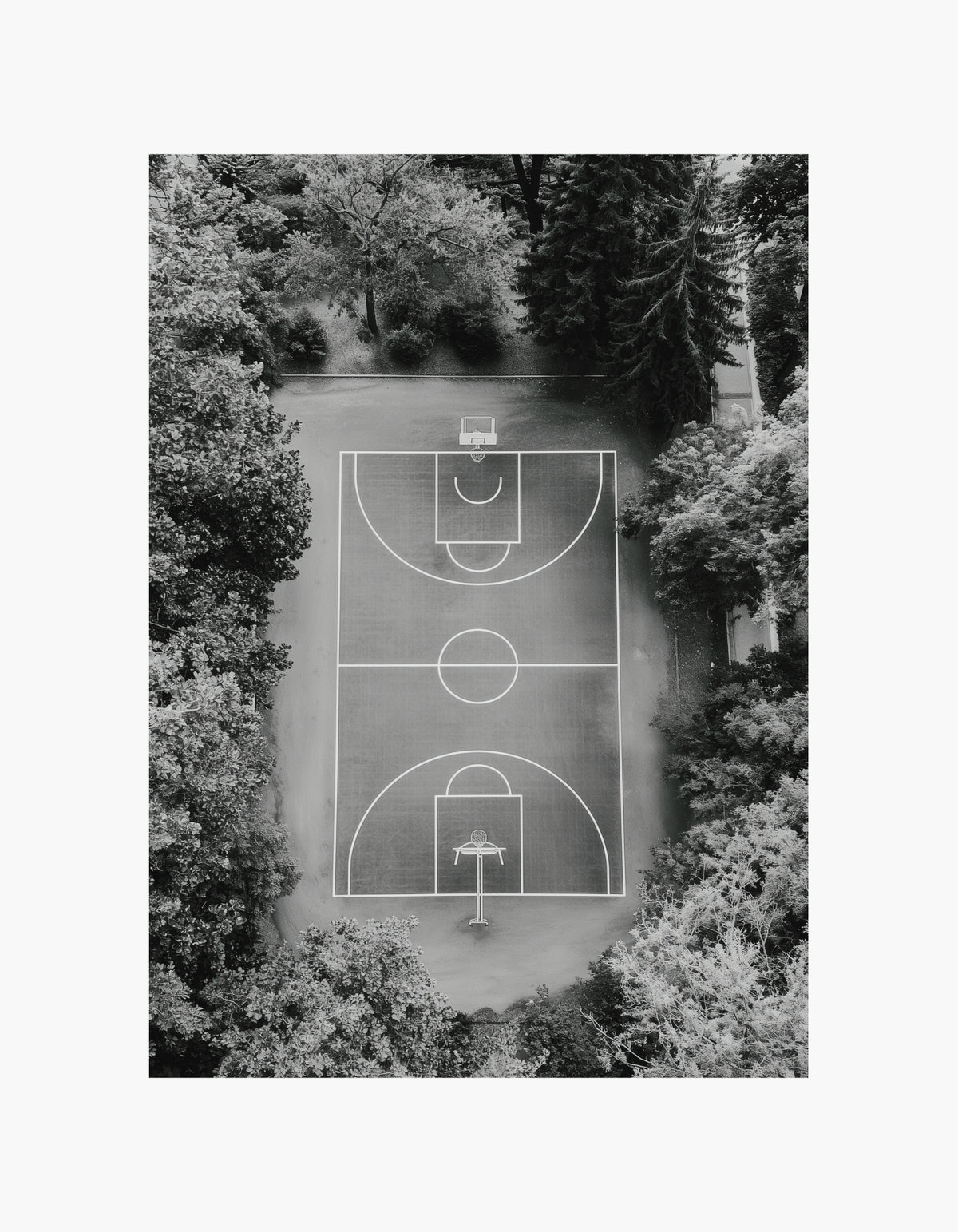The Court Poster