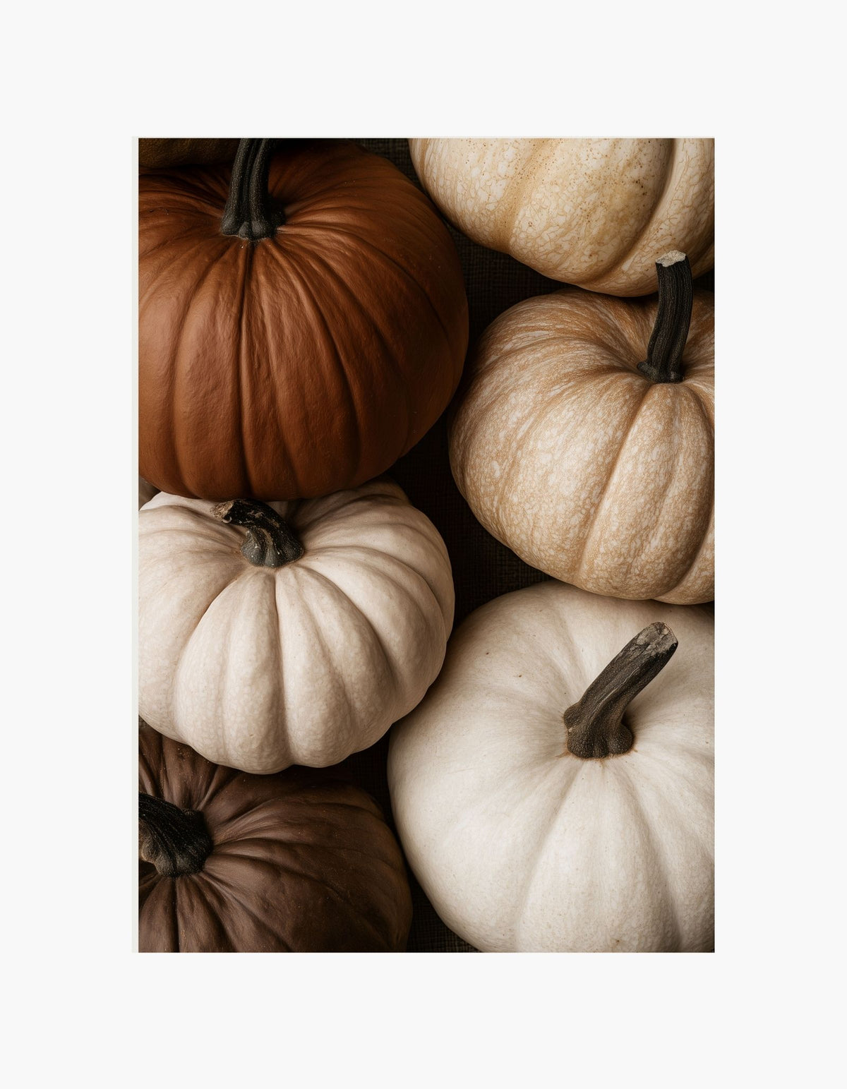 Pumpkin Season Poster