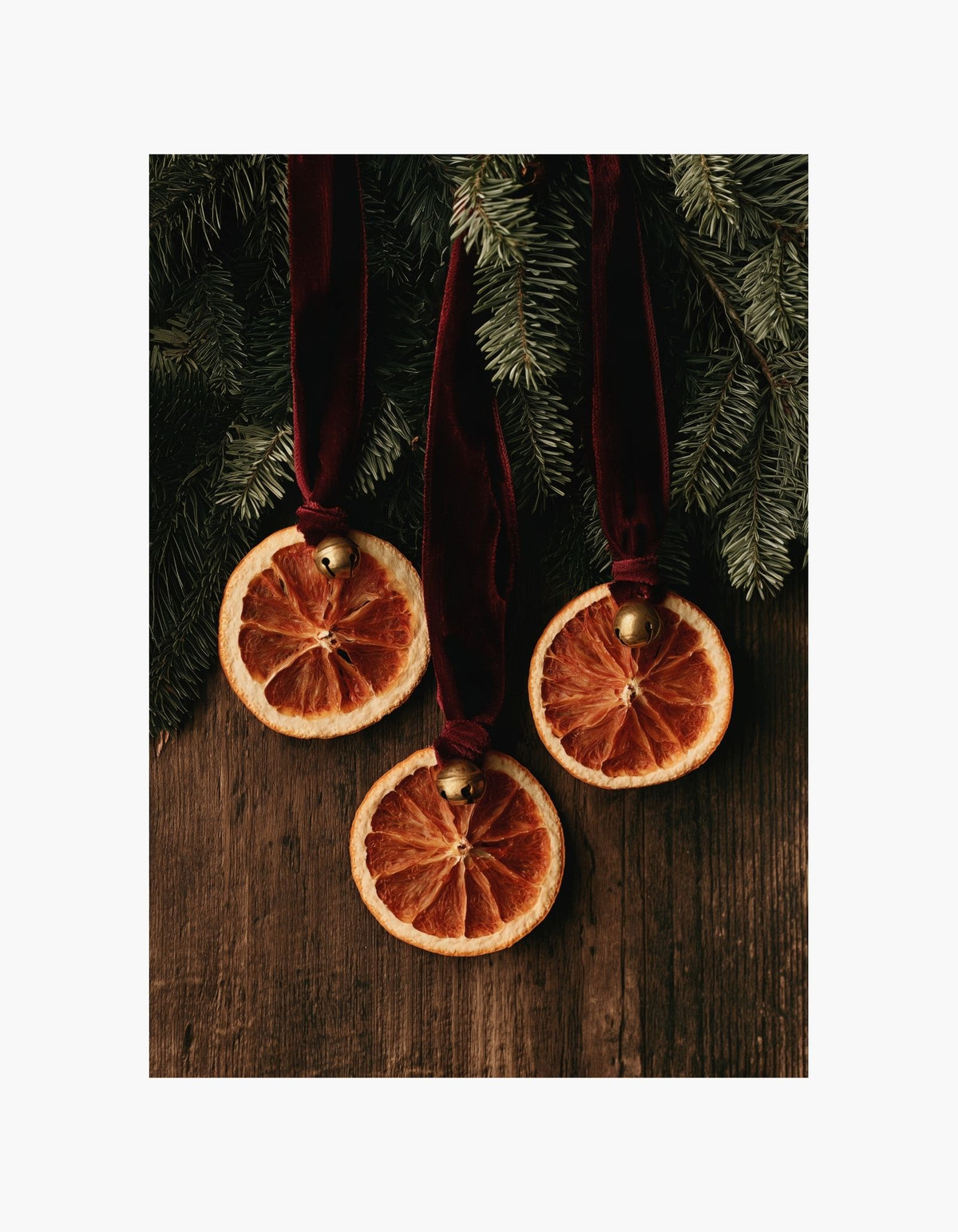 Dried Orange Christmas Poster