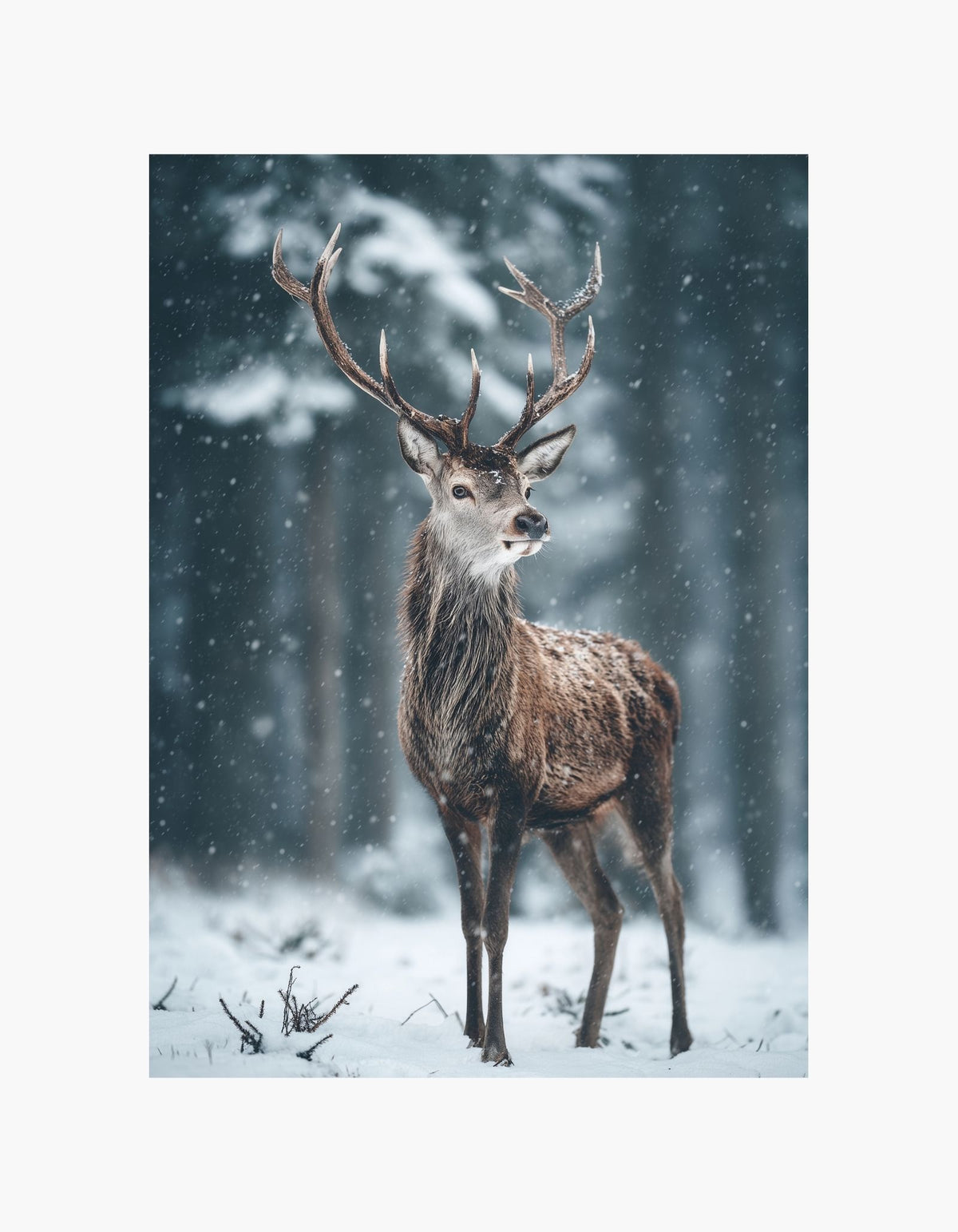 Winter Stag Poster