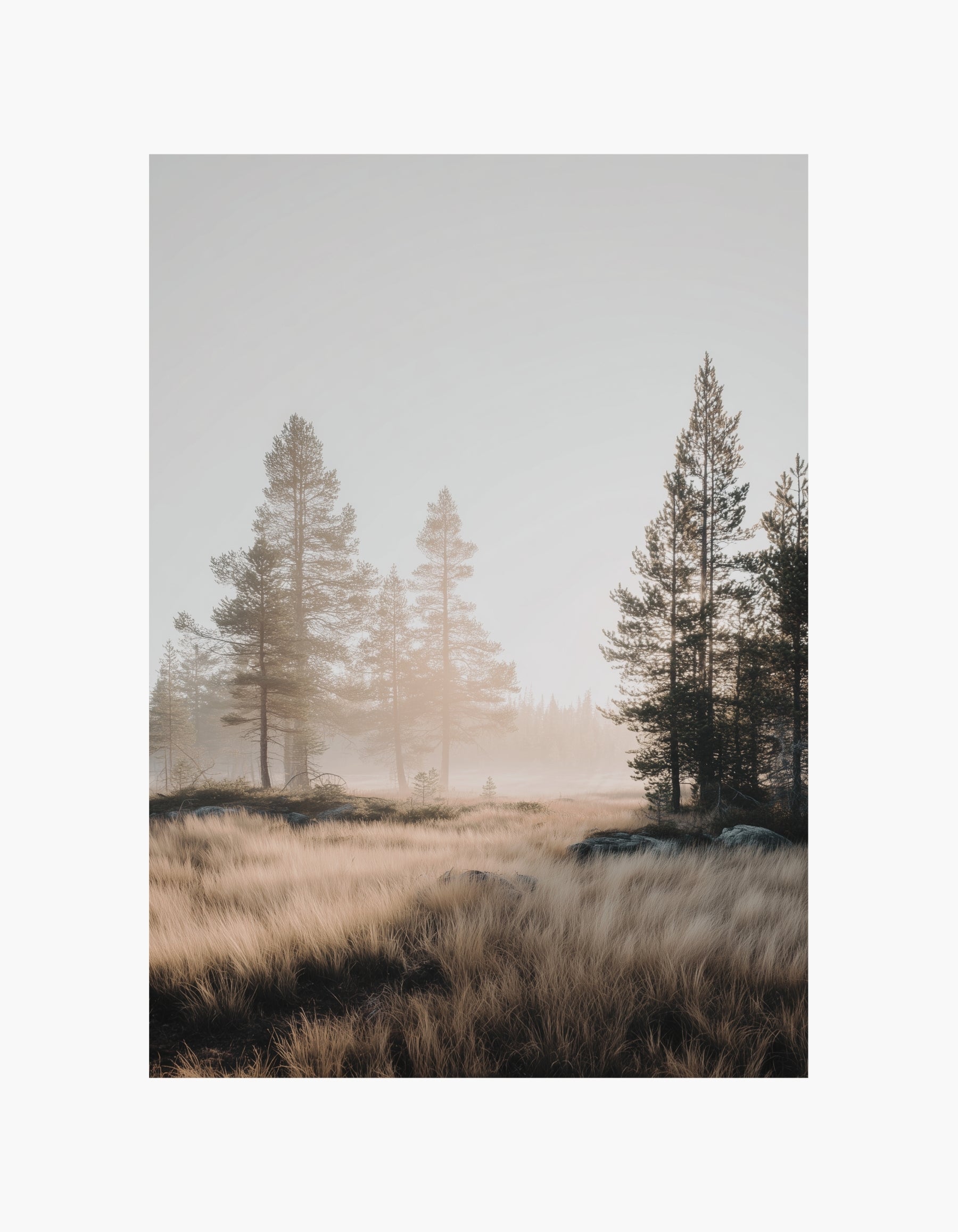 Soft Morning Poster