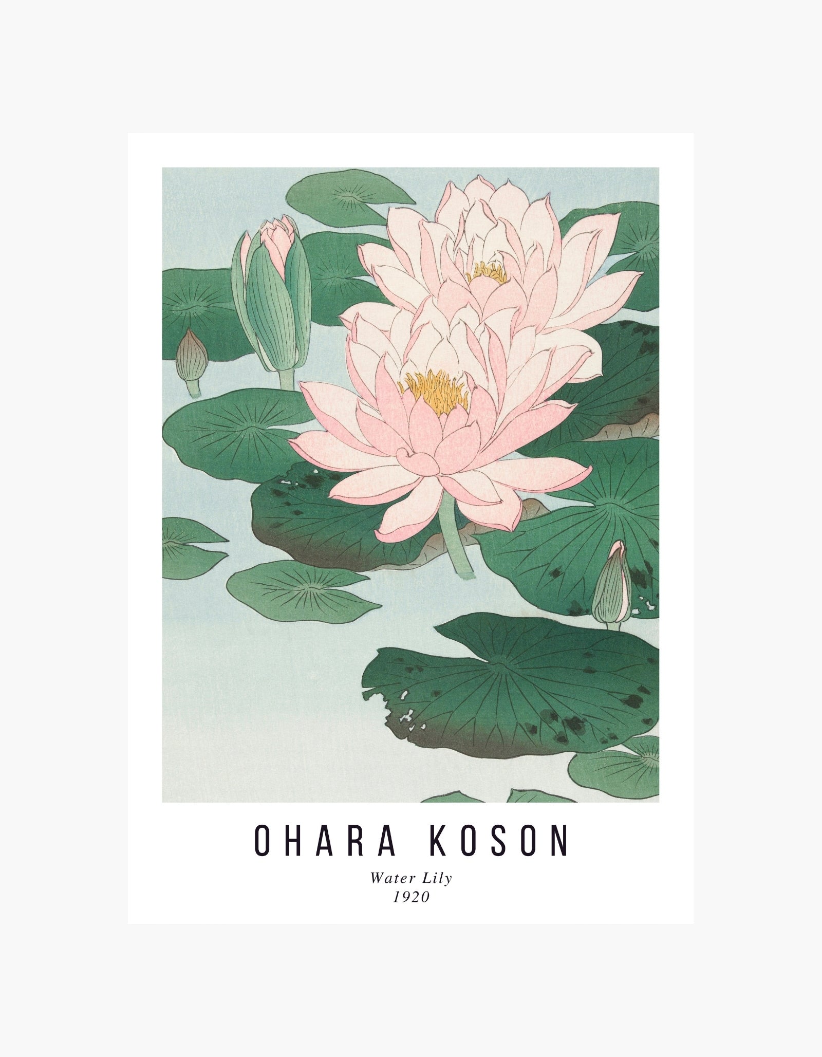 Ohara Koson Water Lily Poster
